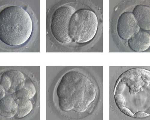 十堰太和医院,十堰市太和医院