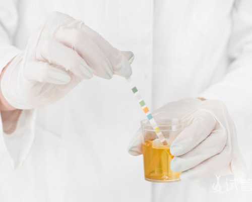 探秘山西试管婴儿：费用、医院与成功率全解析，助您实现生育梦想