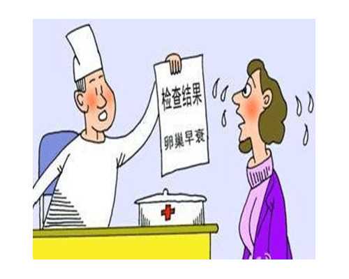 淄博医院供卵信息分享